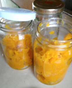 You may also opt for glass jars (keep in the fridge) if your confident that your baby can consume what you prepared within 48 hours. That’s what I’ve been doing with my youngest, he just turned 10 months (and eager to eat table food). I would prepare 3 jars of pureed veggies that he can easily consume in 2 days, no need to freeze and defrost food.